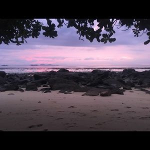 Meet your Posher, Leo